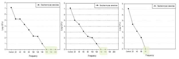 초기온도 35℃ PEF 연속형 처리의 Saccharomyces cerevisiae의 불활성