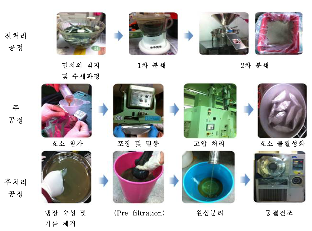 멸치고압효소가수분해물의 Pilot scale 생산 과정