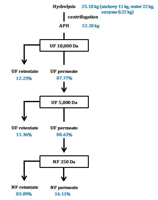 Mass-balance calculations for the production of the soluble Anchovy protein hydrolysate.