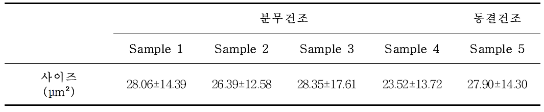 분무건조와 동결건조한 시료의 입자사이즈 비교