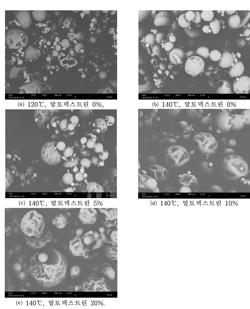 Inlet temperature와 말토덱스트린 첨가량을 달리 분무 건조한 시료의 SEM 이미지.