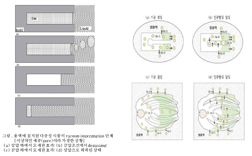 진공함침법 원리와 기존 절임과의 비교.