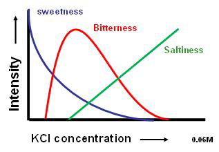 Taste profile Potassium Chloride