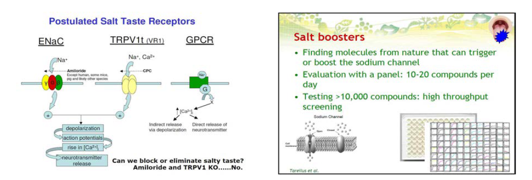 Salt Taste Receptors and High Throughput Screening.