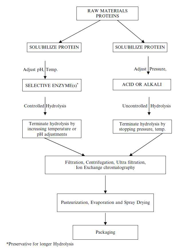 Typical maunfacturing overview of protein hydrolysates.