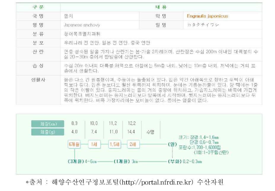 멸치의 일반적인 내용.