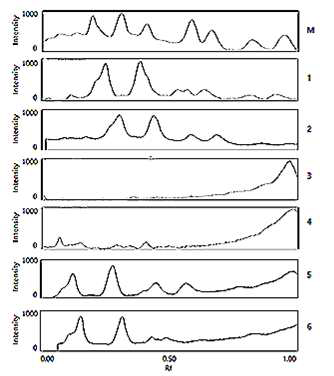 The corresponding EMMs of commercial enzymes after treatments of ambient pressure and 100 MPa at 50℃, 24 h.