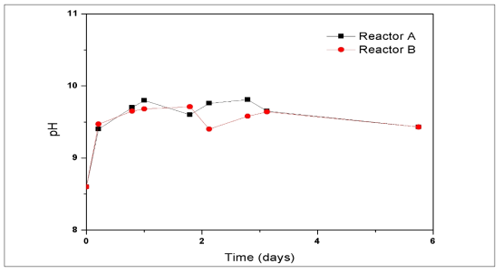 호기성 반응조 내의 pH 변화