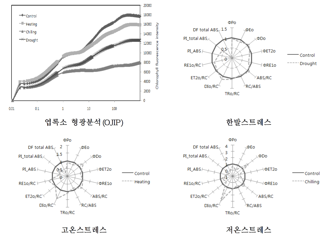 오이 스트레스 처리별 광이용 효율 분석