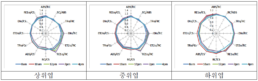 CO2 시비 후 파프리카 일중 광합성 효율 변화