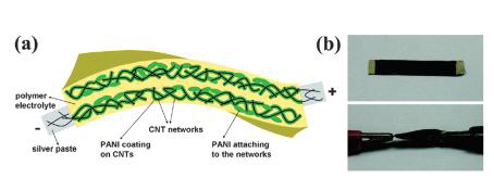 고분자 겔 전해질에 균일하게 분산된 PANI-CNT 나노복합체 전극