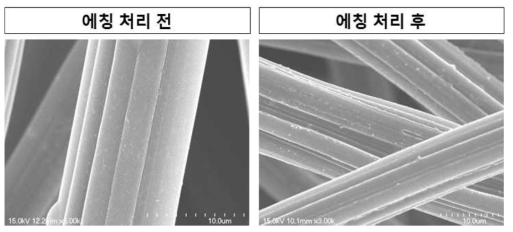 SEM (ACF 에칭처리 전후 비교)