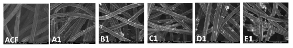 MgAC-TiO2/ACF SEM 이미지