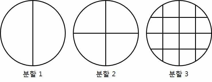 공동 분할 형태