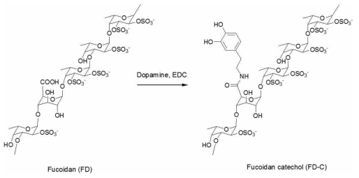 후코이단 카테콜의 합성반응 모식도