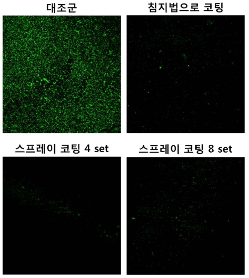 아무런 처리하지 않은 강철 기판 및 후코이단 카테콜을 코팅한 강철 기판을 대상으로 대장균의 표면 흡착 및 오염정도를 평가한 결과