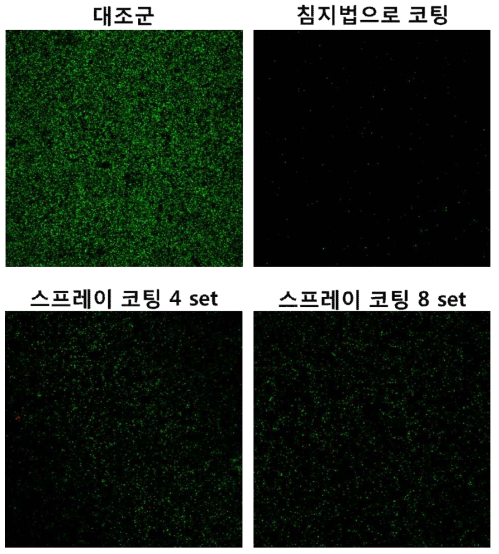 후코이단 카테콜 코팅이 대장균에 의한 오염을 억제할 수 있는지 재현성 검증 결과.