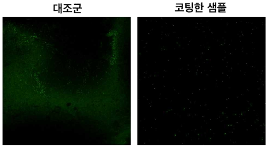 공기로 전처리한 좌석 손잡이 기판을 대상으로 실험한 결과.