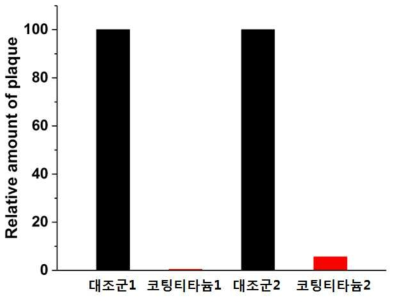 TSB 배양법 적용 후 대조군 티타늄과 코팅 티타늄 표면에서 배양된 MS2 군집수 분석