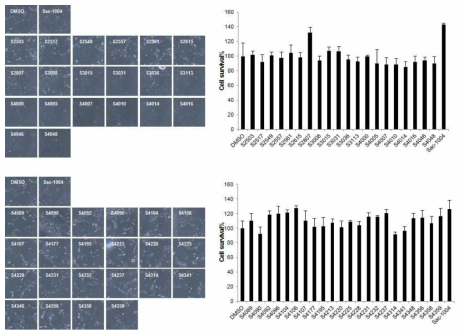 Sac-1004와 유사한 효능을 지닌 화합물 스크리닝