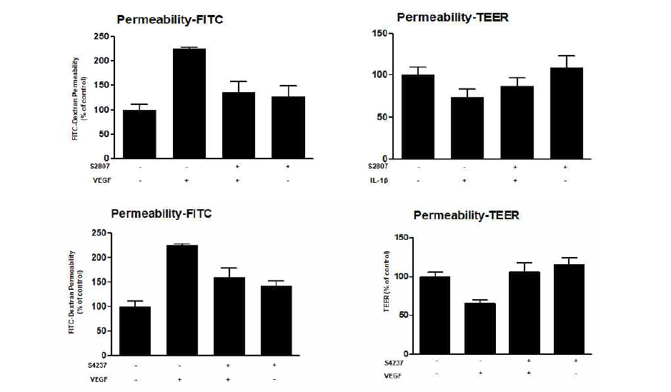 S4237 및 S2807에 대한 permeability assay