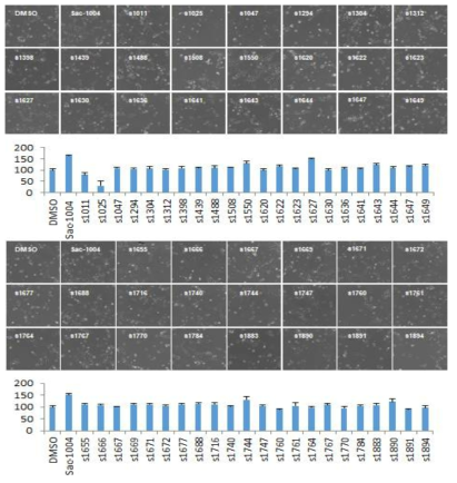 sac-1004와 유사한 효능을 지닌 화합물 스크리닝