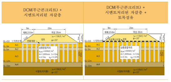 RSR 기초로서 DCM 적용방안