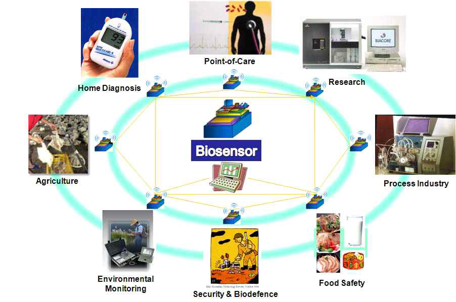 바이오센서 응용분야