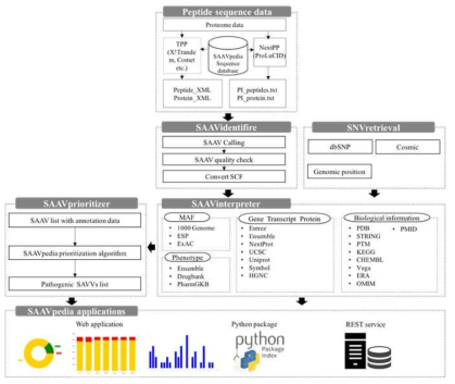 SAAVpeida for identifying, annotating, interpreting and prioritizing the pathogenic SAAV between many SAAVs within proteomic and genomic data