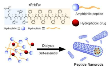 Schematic illustration of RH3F8 nanorods as a drug carrier.
