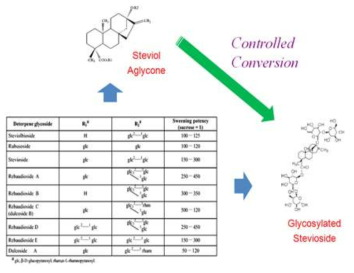 스테비올 배당체의 유도체화 합성 과정