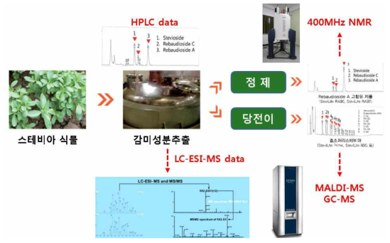 스테비올 배당체 공정 과정 모식도