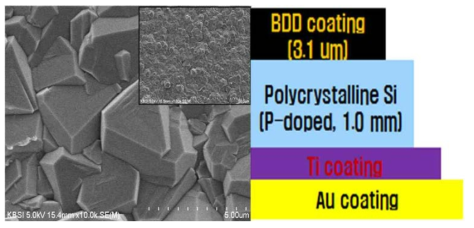 BDD 전극표면형상(SEM image) 및 센서 구조