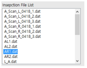 Inspection File List