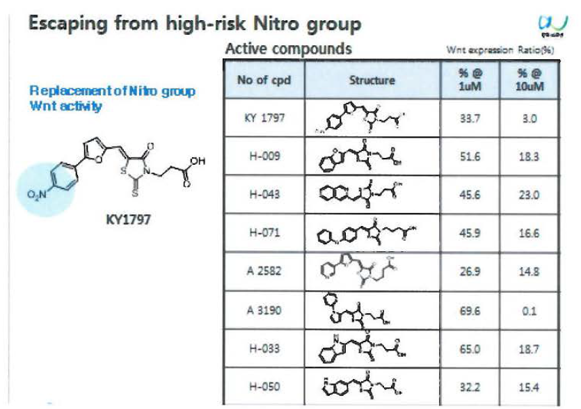 Nitro-phenyl 그룹의 대체 moiety 연 구