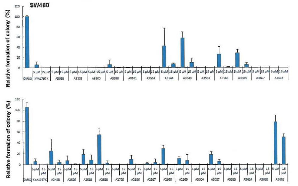 KYA1797K과 28종의 유도체들의 SW480에서의 균체형성억제 결과