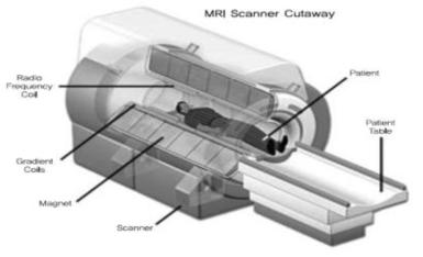 Magnetic Resonance Imaging