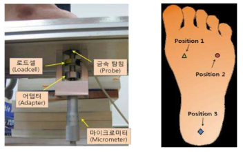 족부 강성 측정 장치