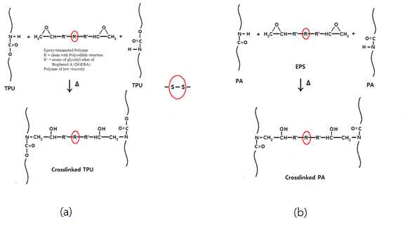 가교제 (EPS)와 반응을 통한 가교 구조 형성 반응 개념도: (a) TPU; (b) PA-12