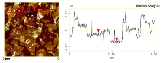 GO의 AFM image와 height profile