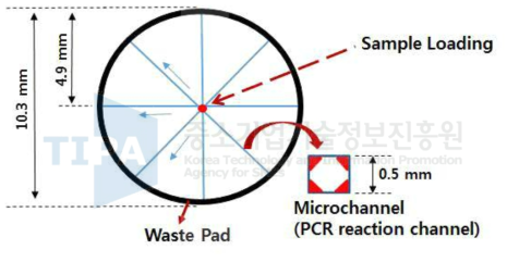 Capillary Assembled Microchip CAs-chip의 구조