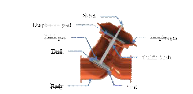 Structure of Y-type valve