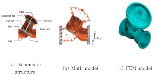 Schematic, mathematical and FEM modeling of the Y-type SRV