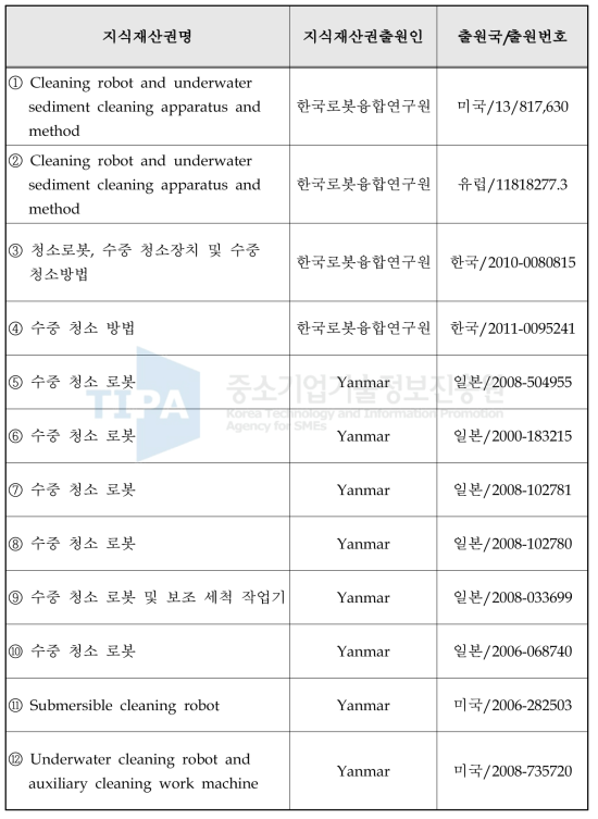 국내외 관련기술 지식재산권(특허) 현황