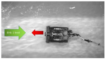 유속조건에서의 최대 주행속도 실험 모습