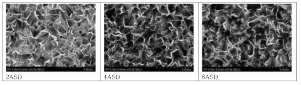 기본 건욕액에 D 시리즈 첨가제를 5% 추가 첨가한 경우 전류 밀도 변화에 따른 SnAg 의 표면 morphology 변화(D-1)