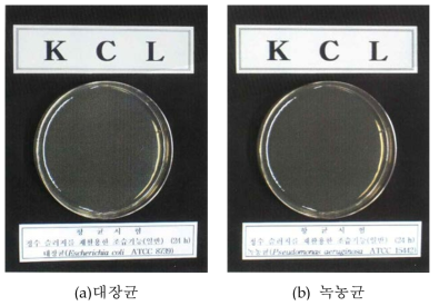 항균시험 결과.