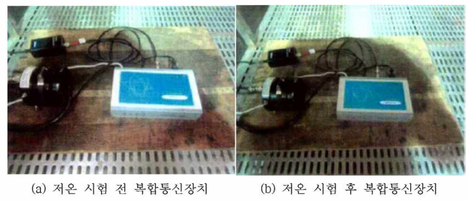 저온 시험 전 후 시료의 모습