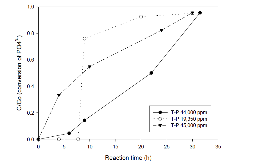 T-P 초기농도 변화에 따른 PO4-P의 산화효율