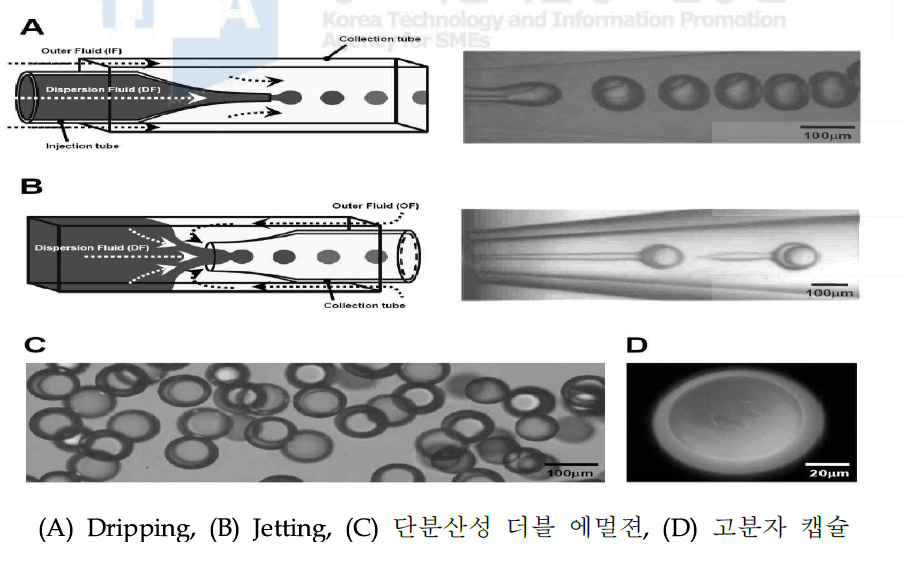 고압 유화 유체 기술을 이용한 액적 형성